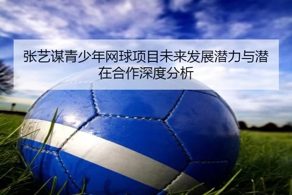 张艺谋青少年网球项目未来发展潜力与潜在合作深度分析